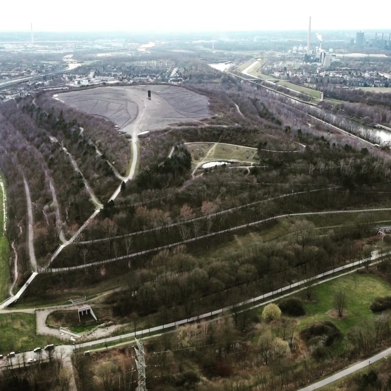 IMG 20210321 012028 495 768x768